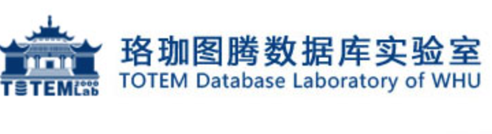 Totem Database Lab logo